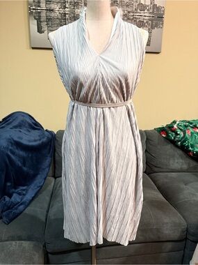 Silver Pleated Dress